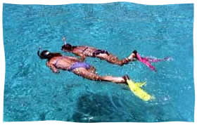 snorkeling newly weds